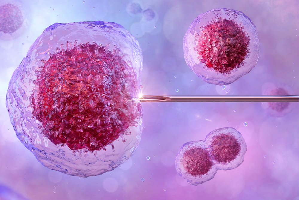 Quais as causas das falhas na inseminação artificial?