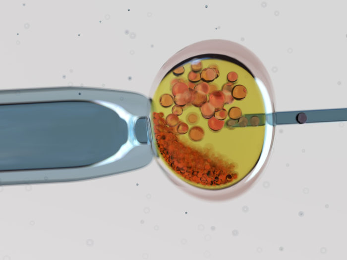 Inseminação artificial: qual a taxa de sucesso?