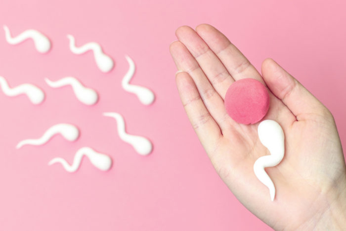Inseminação artificial