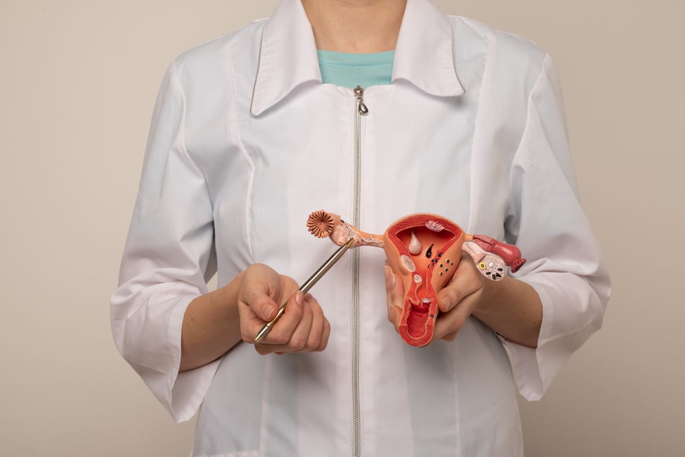 Exame ALICE: Análise de Endometrite Crônica