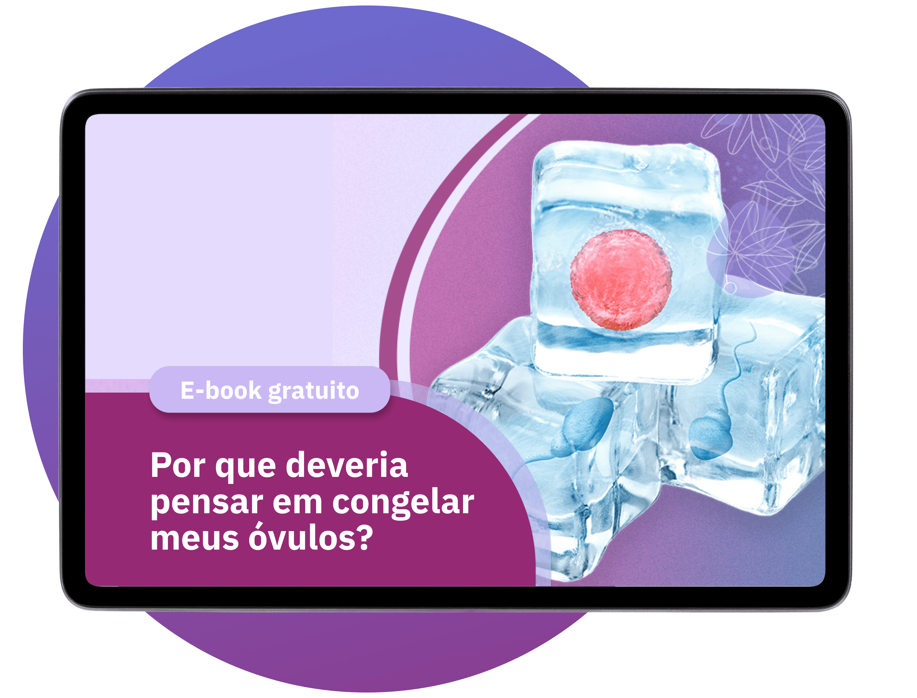 Ebook