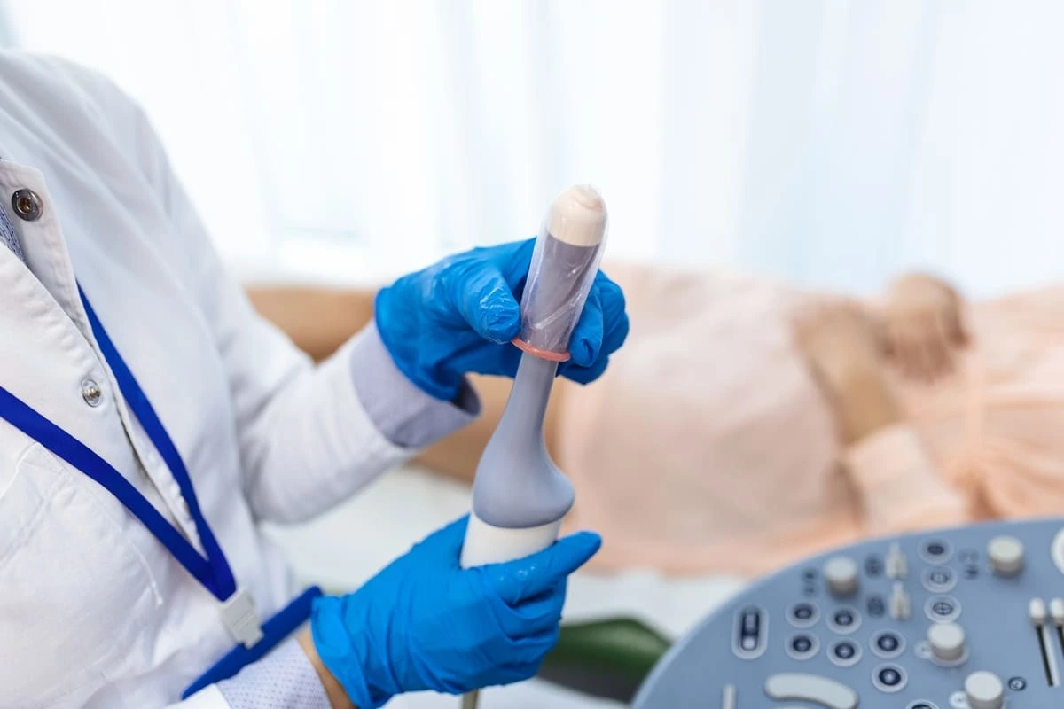 Primeira ultrassonografia após a fertilização in vitro: quando fazer?